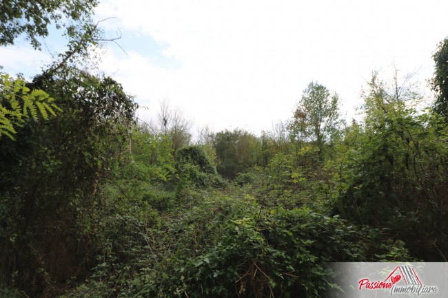 Terreno Agricolo in vendita a Verona