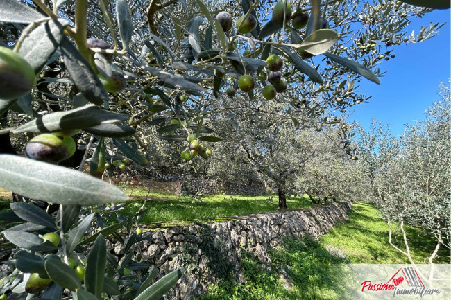 Terreno agricolo in vendita a Avesa, Verona (VR)