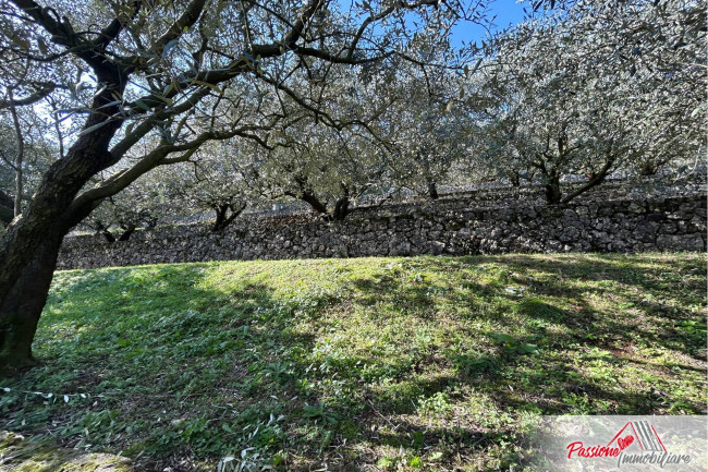 Terreno agricolo in vendita a Avesa, Verona (VR)