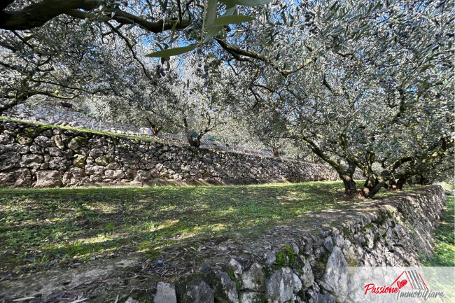 Terreno agricolo in vendita a Avesa, Verona (VR)