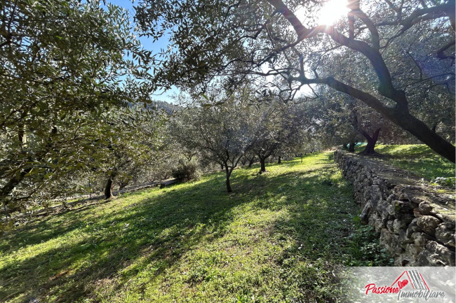 Terreno agricolo in vendita a Avesa, Verona (VR)