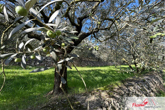 Terreno agricolo in vendita a Avesa, Verona (VR)