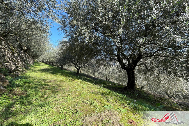 Terreno agricolo in vendita a Avesa, Verona (VR)