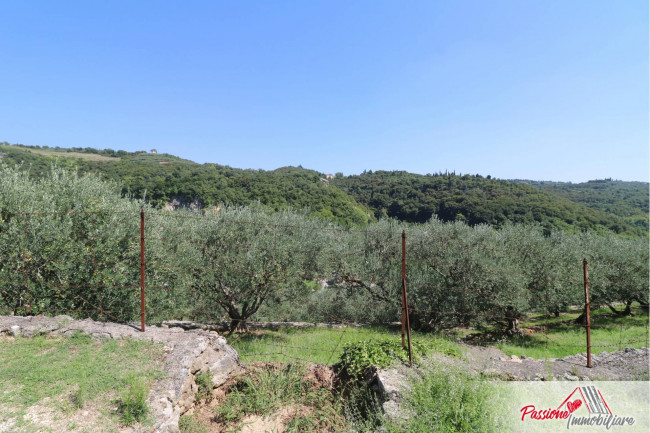 Terreno Agricolo in vendita a Verona
