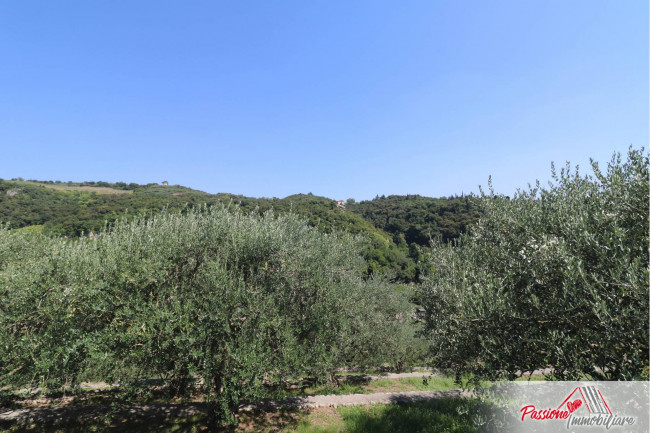 Terreno Agricolo in vendita a Verona