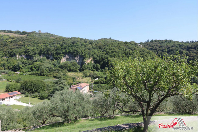 Terreno Agricolo in vendita a Verona