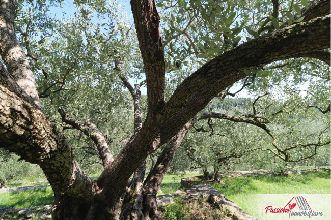 Terreno Agricolo in vendita a Verona
