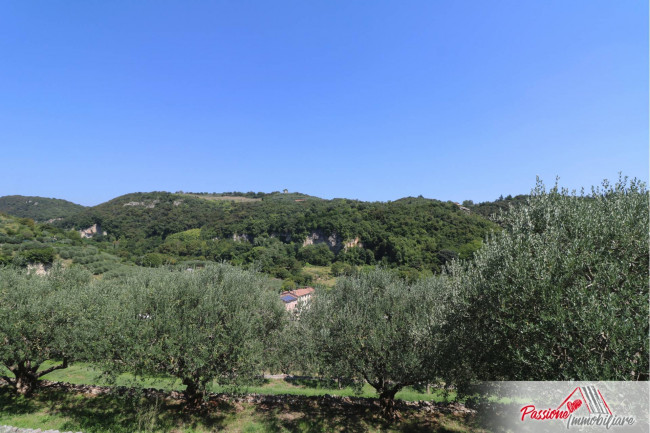 Terreno Agricolo in vendita a Verona