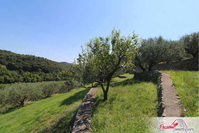 Terreno Agricolo in vendita a Verona