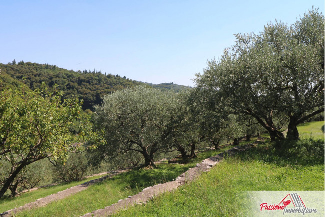 Terreno Agricolo in vendita a Verona