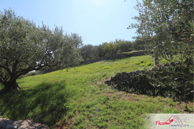 Terreno Agricolo in vendita a Verona