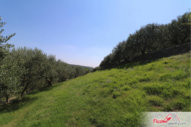 Terreno Agricolo in vendita a Verona