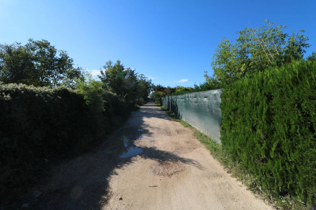 Terreno Agricolo in vendita a Verona