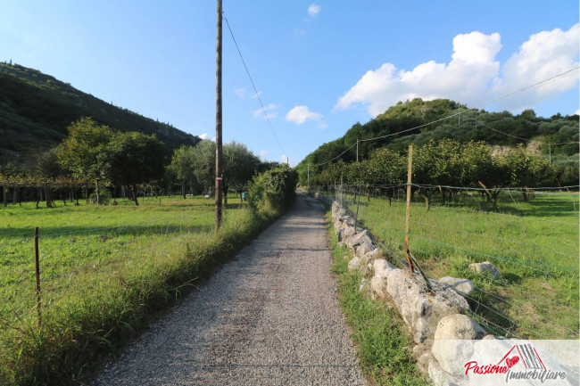 Terreno Agricolo in vendita a Verona