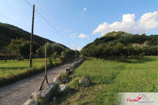 Terreno Agricolo in vendita a Verona