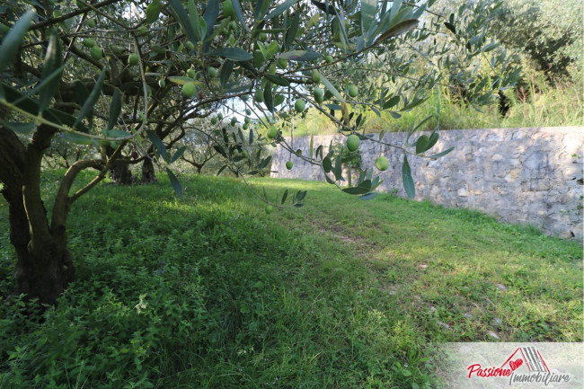 Terreno Agricolo in vendita a Verona