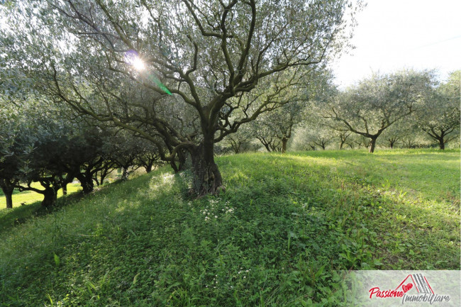 Terreno Agricolo in vendita a Verona