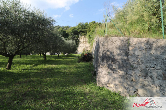 Terreno Agricolo in vendita a Verona