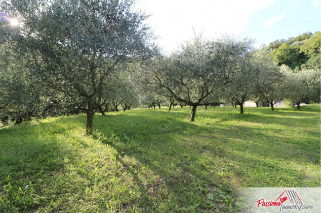 Terreno Agricolo in vendita a Verona