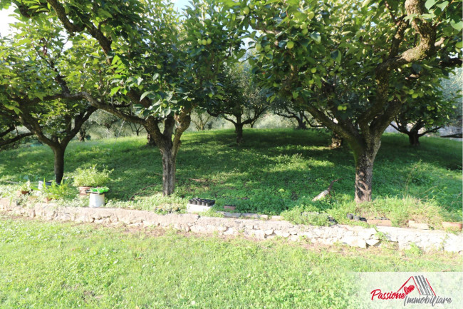 Terreno Agricolo in vendita a Verona