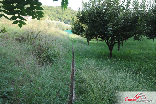 Terreno Agricolo in vendita a Verona