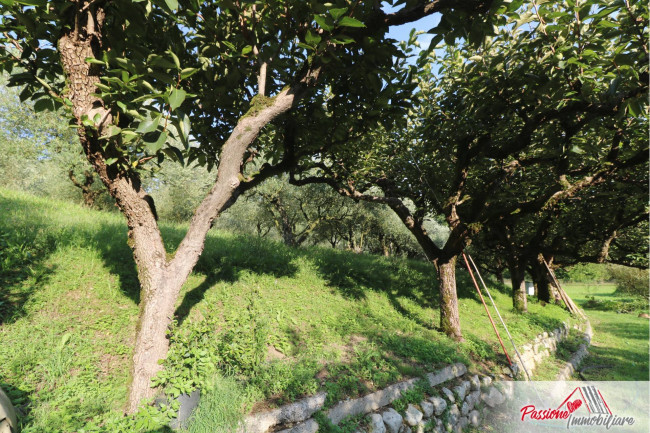 Terreno Agricolo in vendita a Verona