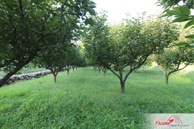 Terreno Agricolo in vendita a Verona