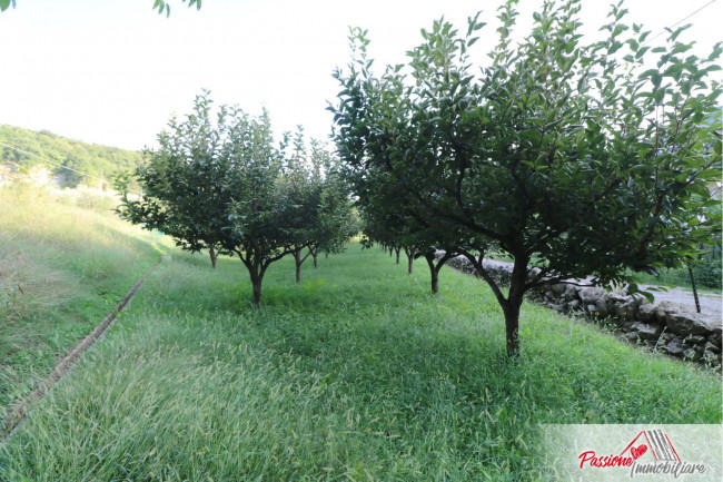 Terreno Agricolo in vendita a Verona