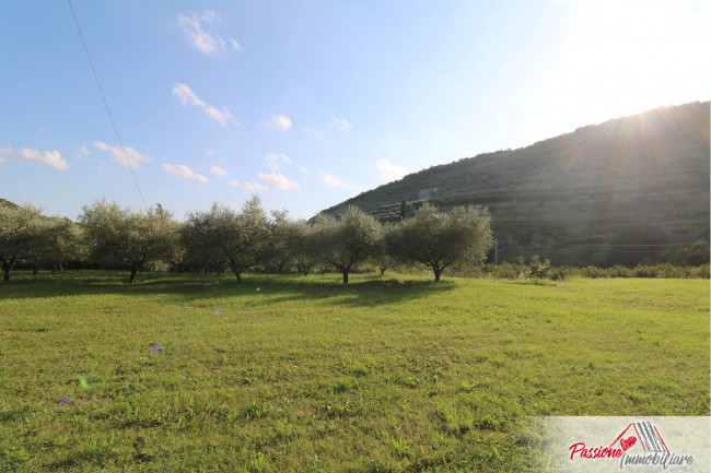 Terreno Agricolo in vendita a Verona