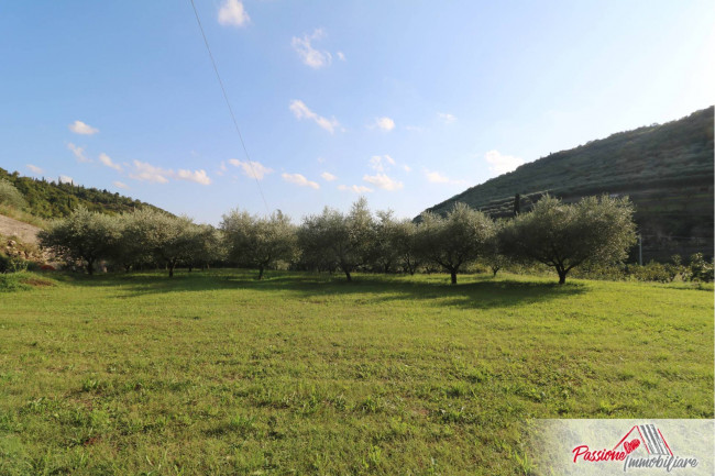 Terreno Agricolo in vendita a Verona