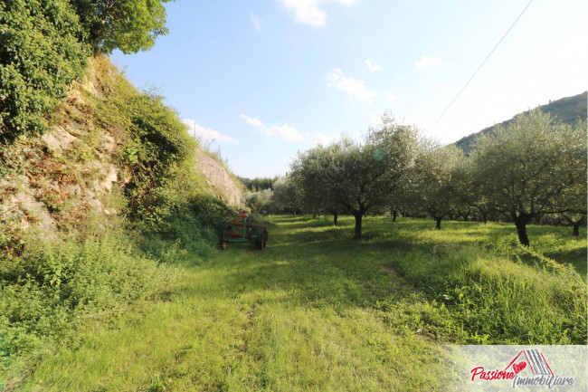 Terreno Agricolo in vendita a Verona
