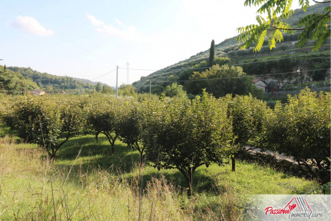 Terreno Agricolo in vendita a Verona