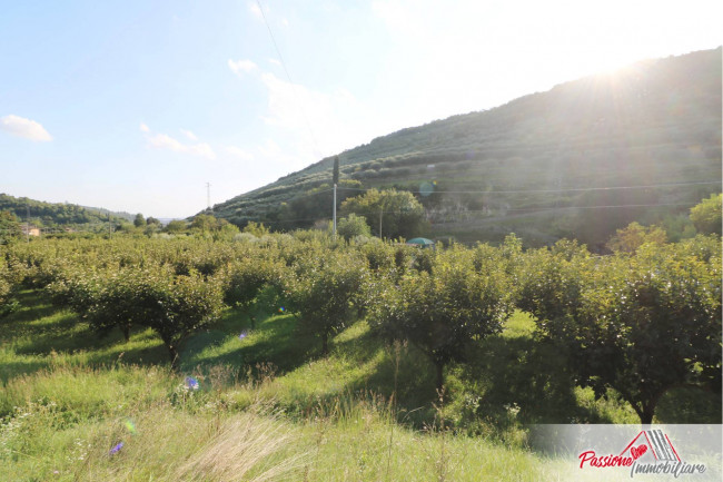 Terreno Agricolo in vendita a Verona