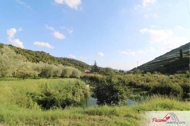 Terreno Agricolo in vendita a Verona