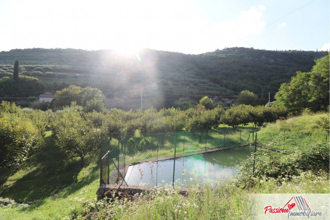 Terreno Agricolo in vendita a Verona