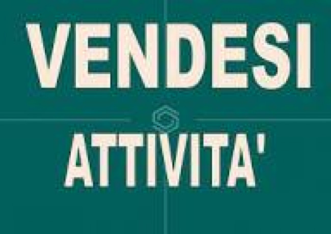 Attività commerciale in Vendita a Pisa - Tirrenia