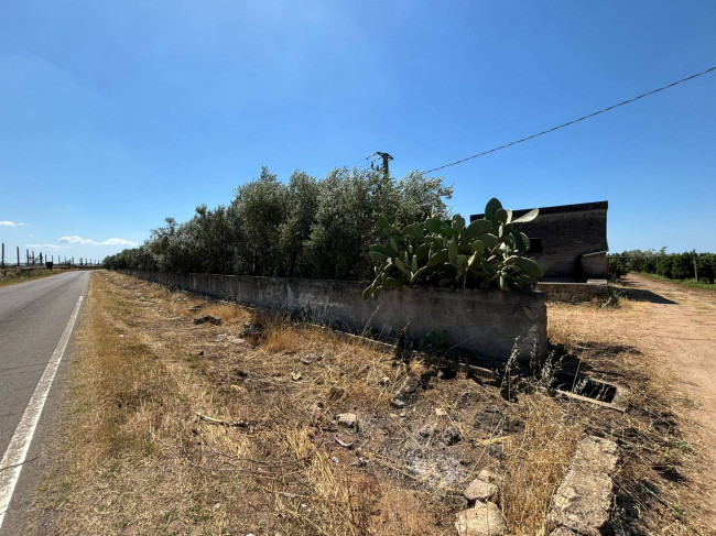 Terreno Agricolo in Vendita a Massafra