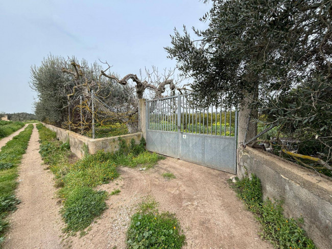 Terreno Agricolo in Vendita a Massafra