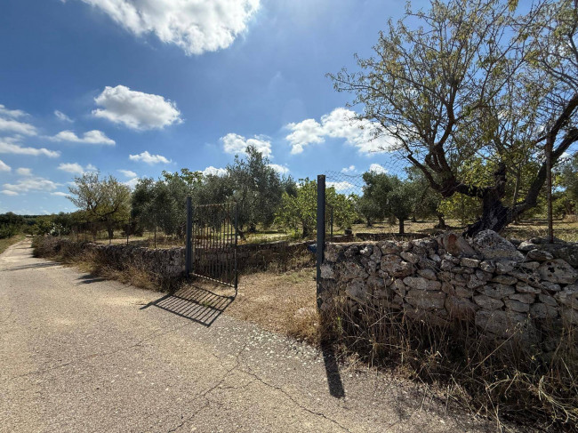 Terreno Agricolo in Vendita a Crispiano