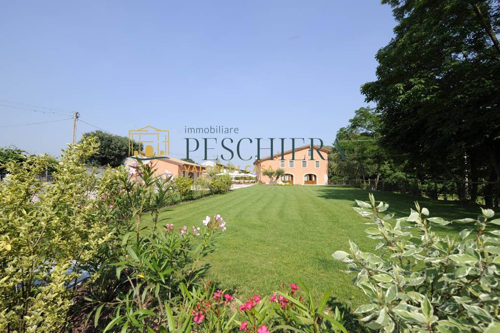 Azienda Agricola in vendita a Valeggio sul Mincio