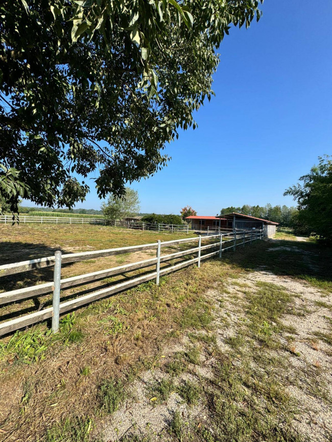 Terreno Agricolo in vendita a Volta Mantovana