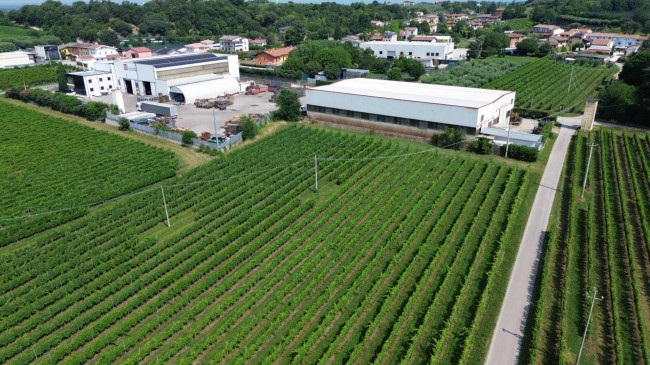 Terreno edificabile in vendita a Valeggio sul Mincio