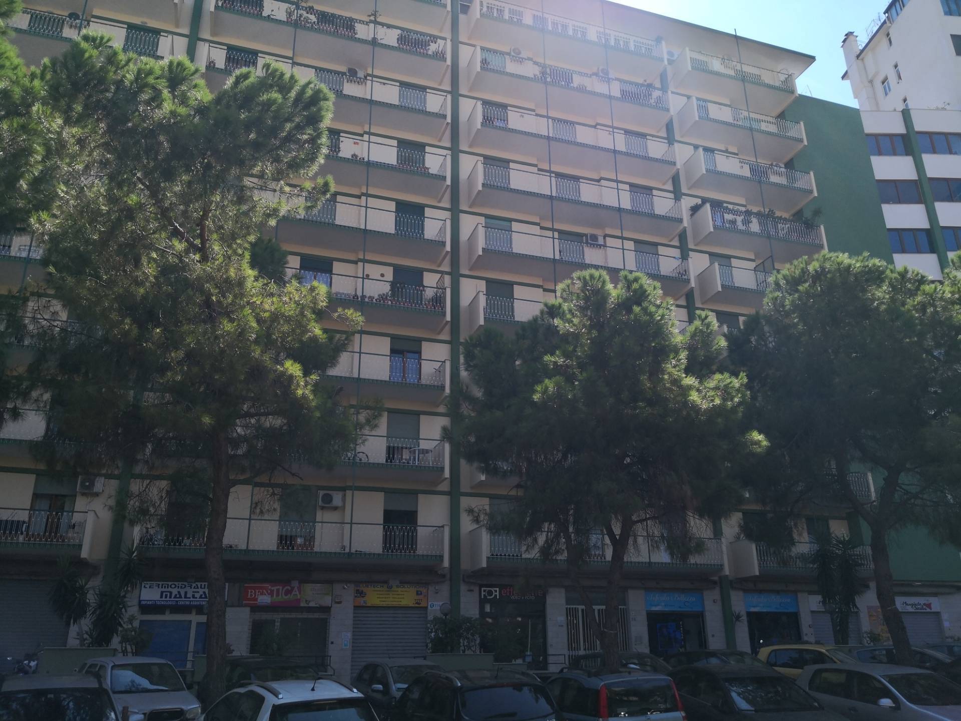 Appartamento PALERMO affitto    V. House Immobiliare srl