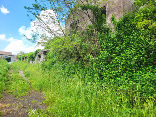 Terreno agricolo in vendita a Vivaro, Rocca Di Papa (RM)