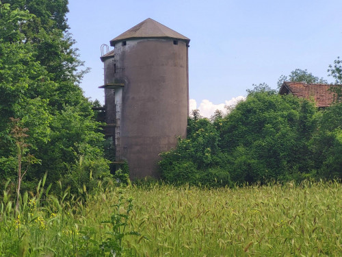 Terreno agricolo in vendita a Vivaro, Rocca Di Papa (RM)