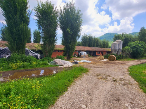 Terreno agricolo in vendita a Vivaro, Rocca Di Papa (RM)