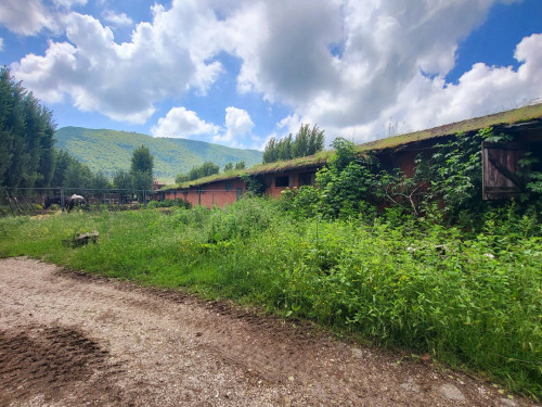 Terreno agricolo in vendita a Vivaro, Rocca Di Papa (RM)