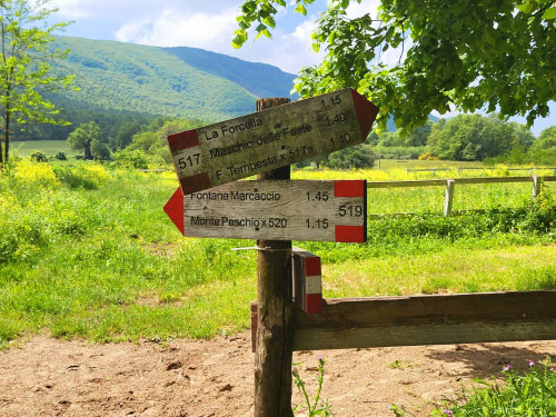 Terreno agricolo in vendita a Vivaro, Rocca Di Papa (RM)