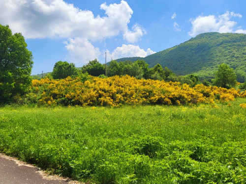 Terreno agricolo in vendita a Vivaro, Rocca Di Papa (RM)