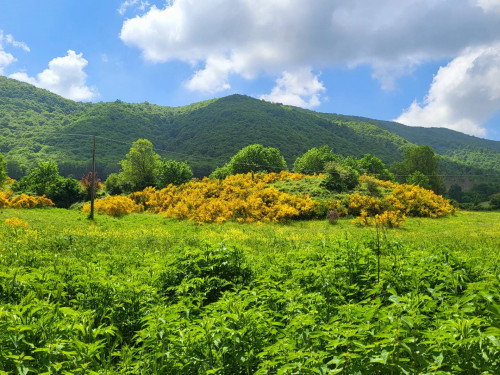 Terreno agricolo in vendita a Vivaro, Rocca Di Papa (RM)